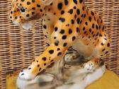 Porcelianinis leopardas - nuotraukos Nr. 3