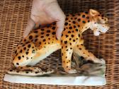 Porcelianinis leopardas - nuotraukos Nr. 4