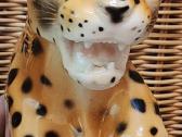 Porcelianinis leopardas - nuotraukos Nr. 6