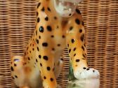 Porcelianinis leopardas - nuotraukos Nr. 7