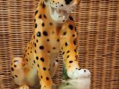 Porcelianinis leopardas - nuotraukos Nr. 8