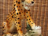Porcelianinis leopardas - nuotraukos Nr. 12