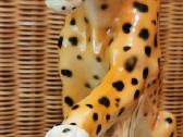 Porcelianinis leopardas - nuotraukos Nr. 13