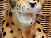 Porcelianinis leopardas - nuotraukos Nr. 14
