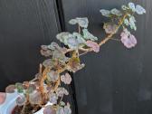 Pelargonija margalapė - nuotraukos Nr. 2