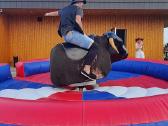 Rodeo bulius. buliaus nuoma rodeo bulius Lietuva - nuotraukos Nr. 4