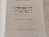 Kupiškėnų senovė–elvyra Dulaitienė Glemžaitė 1958m - nuotraukos Nr. 2