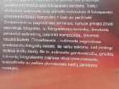 Skaitmeninė fotografija - nuotraukos Nr. 7