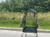 Parduodu papugu narva 50 eur - nuotraukos Nr. 5