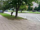 Išnuomojamas 1 kambario erdvus butas - nuotraukos Nr. 14