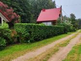 Tujų, Medžių genėjimas, Aeravimas, Žolės pjovimas - nuotraukos Nr. 7