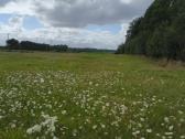 Parduodu - nuotraukos Nr. 2