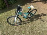 Cannondale 24 - nuotraukos Nr. 3