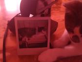 Poloroid momentinis fotopartas - nuotraukos Nr. 2