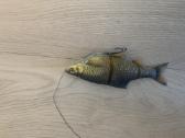 3D roach 25cm 83g - nuotraukos Nr. 2
