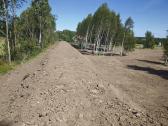 Medžių pjovimas,genėjimas,apleistų sklypų, šakų - nuotraukos Nr. 21