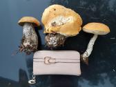 Parduodama sodyba ant uosio ezero kranto - nuotraukos Nr. 13