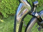 Pegasus elektrinis, bosch CX smart 750, M dydis - nuotraukos Nr. 3