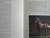 Lietuviški žirgai - nuotraukos Nr. 5