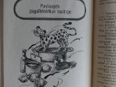 N. Šadrina-šeimininkės patarėjas - nuotraukos Nr. 2