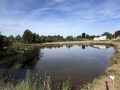 Parduodu 150ha žemės sklypa - nuotraukos Nr. 8