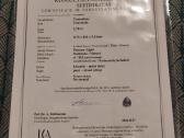 Retas - Žalias Turmalinas 2,78 ct Lašas Fe + Cu - nuotraukos Nr. 3