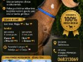 100% An ožiukas 5,5mėn. - nuotraukos Nr. 6