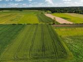 Parduodamas 84 a sklypas Širvintų raj. Kaimynų k. - nuotraukos Nr. 5