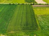 Parduodamas 84 a sklypas Širvintų raj. Kaimynų k. - nuotraukos Nr. 8