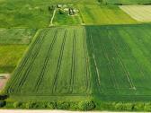 Parduodamas 84 a sklypas Širvintų raj. Kaimynų k. - nuotraukos Nr. 9