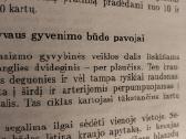 P. Bregas- Sveikai gyventi - nuotraukos Nr. 3