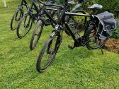Cube KTM bergemont gazelle trek kalkoff pegasus - nuotraukos Nr. 2