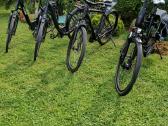 Cube KTM bergemont gazelle trek kalkoff pegasus - nuotraukos Nr. 3