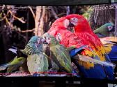 Monitorius Msi Mpg 321curx - 240hz 4k 32'' - nuotraukos Nr. 5