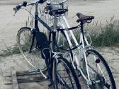 Vyriškas dviratis - nuotraukos Nr. 3