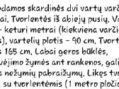 Vartai atveriami su varteliais - nuotraukos Nr. 7