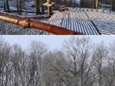Parduodamas parkas - sodyba 3,6ha - nuotraukos Nr. 8