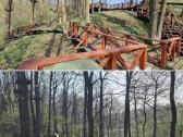 Parduodamas parkas - sodyba 3,6ha - nuotraukos Nr. 14