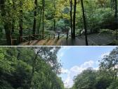Parduodamas parkas - sodyba 3,6ha - nuotraukos Nr. 22