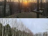 Parduodamas parkas - sodyba 3,6ha - nuotraukos Nr. 28