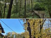 Parduodamas parkas - sodyba 3,6ha - nuotraukos Nr. 31
