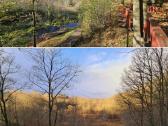 Parduodamas parkas - sodyba 3,6ha - nuotraukos Nr. 38