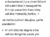 Dėžutė - nuotraukos Nr. 9