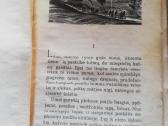 P.cvirka 1940m - nuotraukos Nr. 2