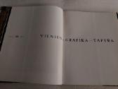 Vilnius - grafika - tapyba - nuotraukos Nr. 2