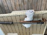 Parduodamas Blaser R93 - nuotraukos Nr. 4