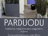 Dirbtinės smilgos - nuotraukos Nr. 4