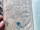 Tarpukario romanai - nuotraukos Nr. 4