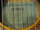 Gitara - nuotraukos Nr. 6