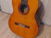 Gitara - nuotraukos Nr. 4